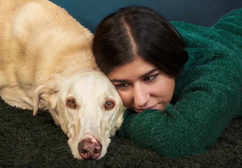 Fotografías de perros en estudio fotográfico
