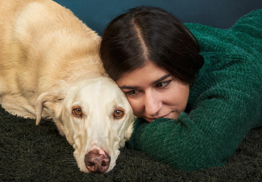 Fotografías de perros en estudio fotográfico