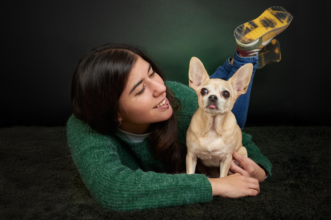 Cómo preparar al perro para una sesión de fotos