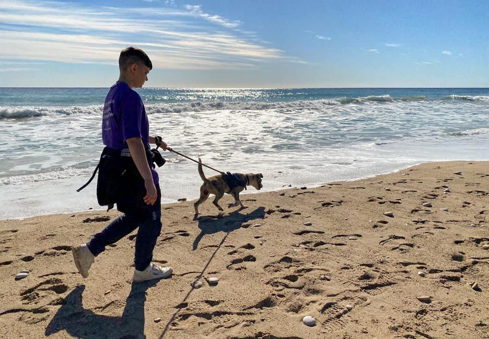 Playa de perros en Sitges