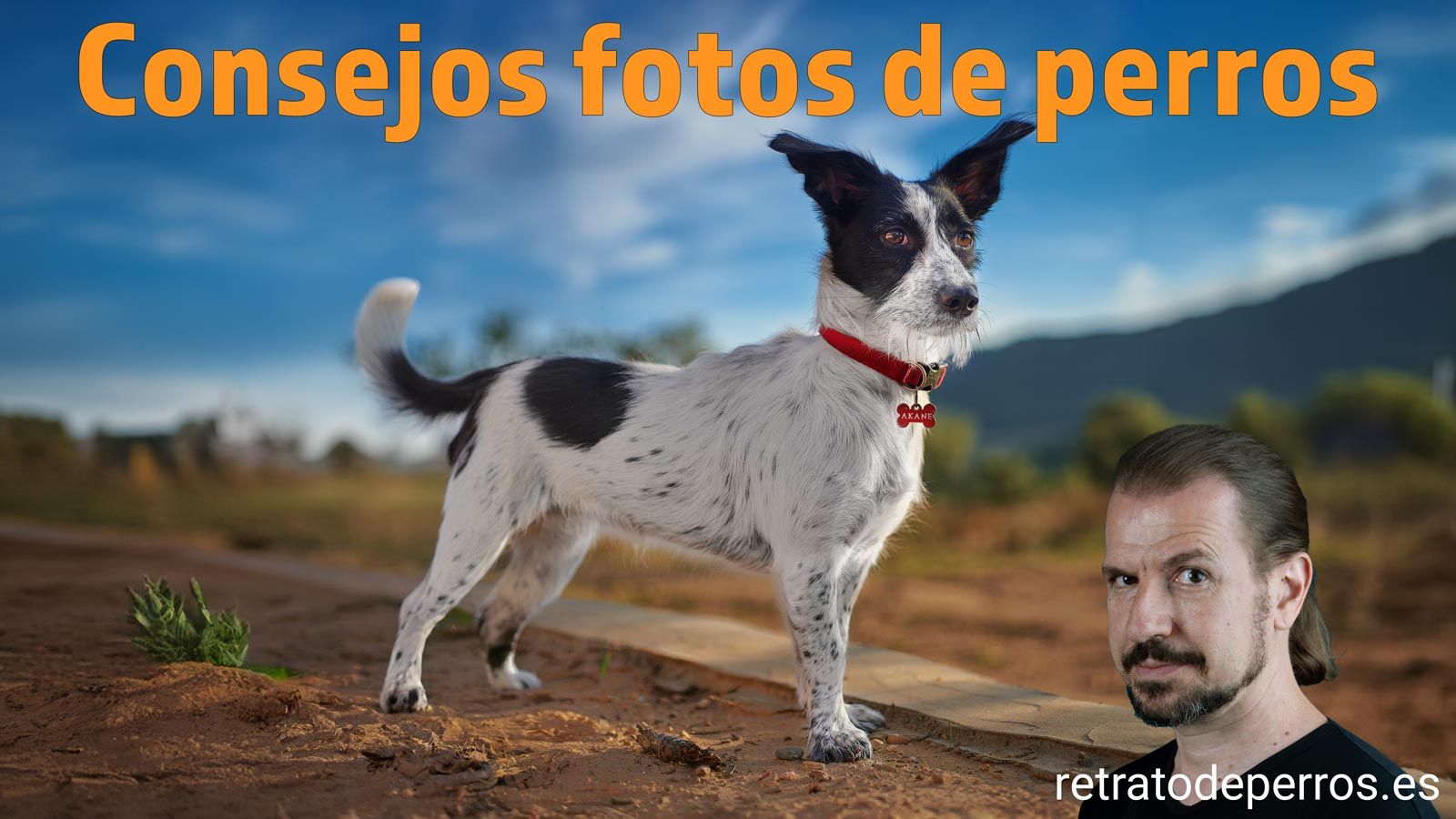 Nuevo canal de Youtube sobre fotografía de perros