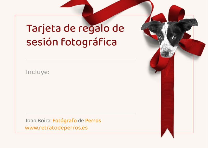 Tarjeta regalo sesión fotográfica