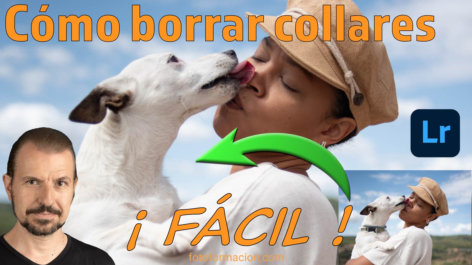 Cómo eliminar collares de perros