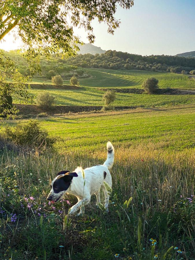 Fotografía realizado con un teléfono de hace más de 4 años