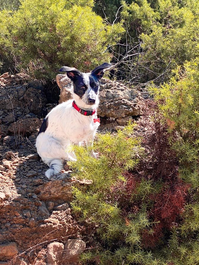 Con una luz lateral podemos conseguir buenos resultados