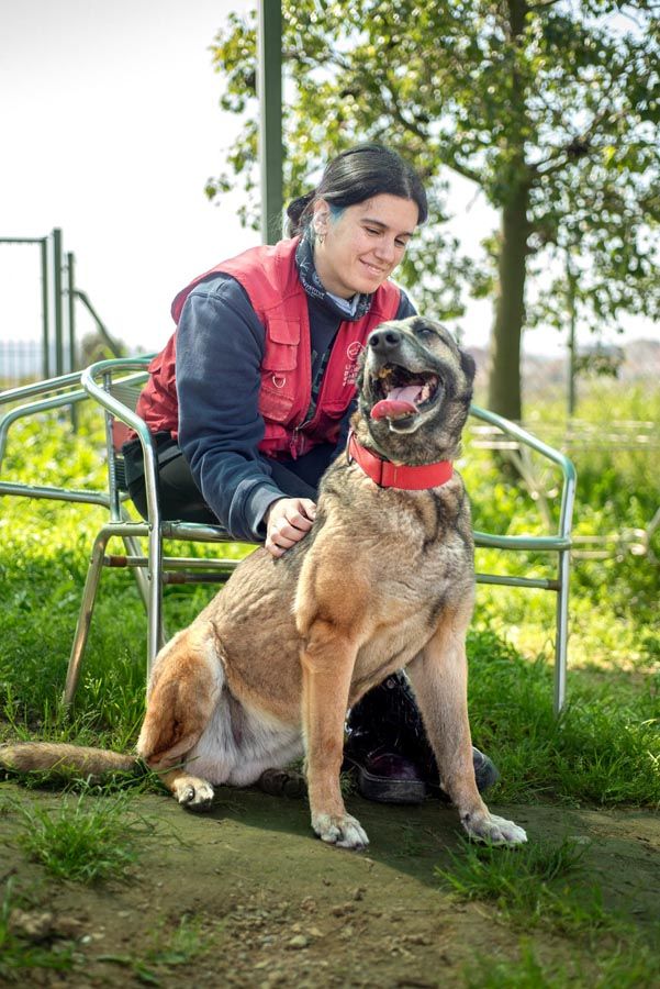 Muestra su tamaño y carácter