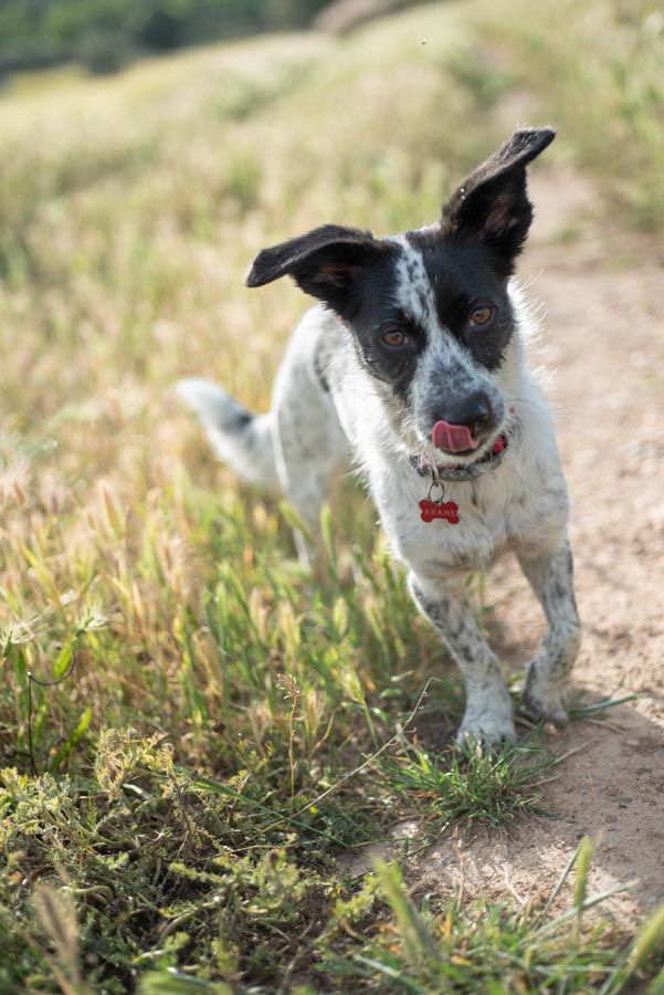 Diafragma abierto para desenfocar le fondo