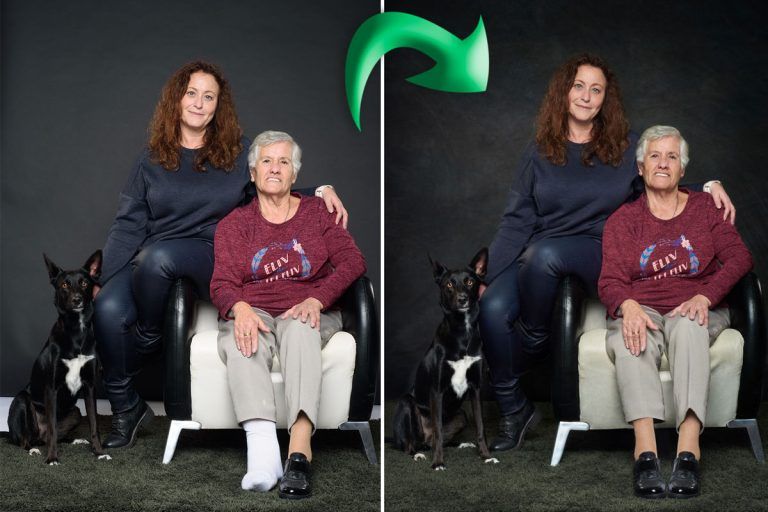 Retoque profesional de fotografía de perros