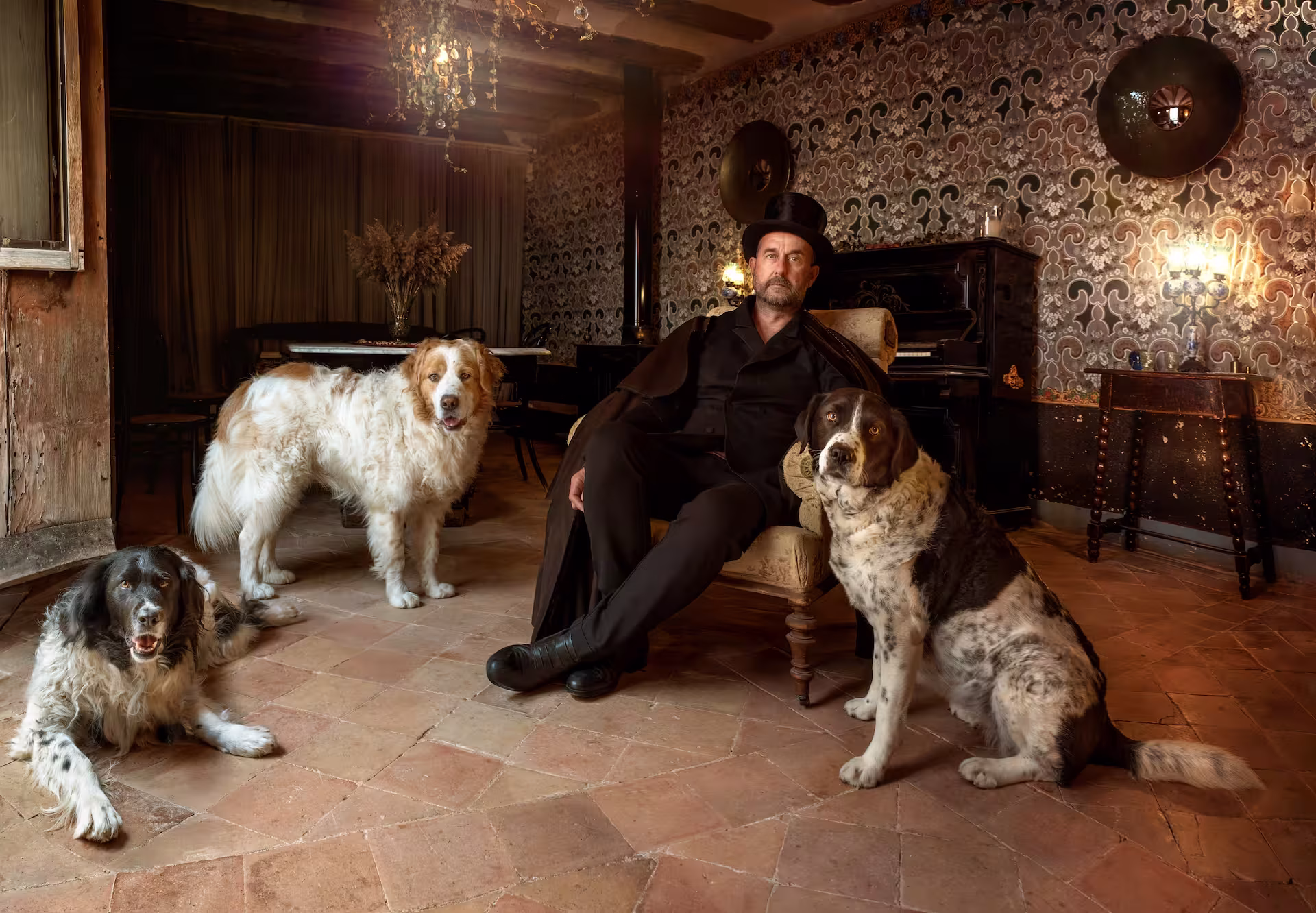 Fotógrafo de perros en Barcelona y La Litera | Joan Boira